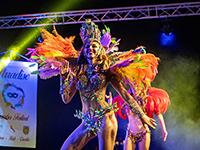 Paradise Samba Festival