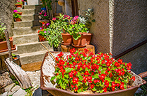 Restaurant Lubenicka Loza