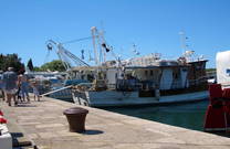 Fischerboot in Punat