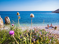 Strände Punat & Stara Baska