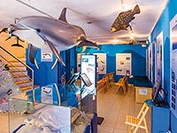 Delphin-Projekt Blue-World