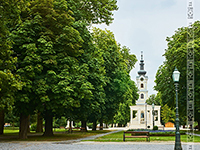 Kathedrale St. Theresa