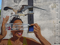 Straßenkunst, Bjelovar