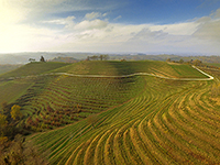 Weinberge, Gornje Medjimurje