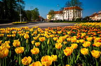 Karlovac - Innenstadt