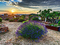 Botanischer Garten Fjori Fôra