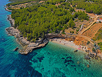 Strand Hobotnica (Octopus)