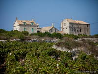 Insel Bisevo - Polje