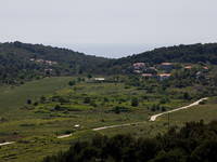 Insel Vis - Plisko Polje