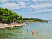 Strand Mina in Jelsa