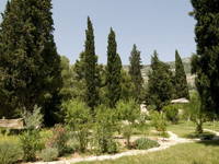 Kastela - Biblischer Garten