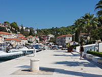 Promenade, Maslinica