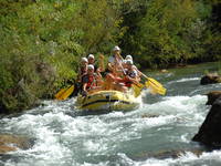 Mimice - Rafting Cetina