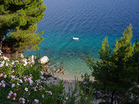 Strand Kucetina