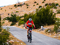 Radfahren, Insel Hvar