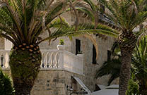 Splitska - Palmen vor einem Haus