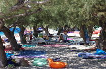 Stanici - Kiefernbäume am Strand