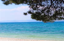 Sutivan Strand Bäume