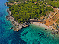 Strand Hobotnica (Octopus)