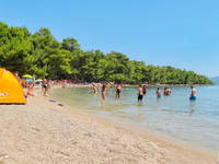 Strand Soline, Vrboska