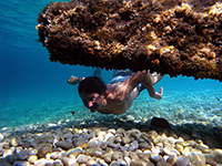 Dugi otok, Tauchen & Schnorcheln