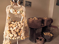 Schwammtauchergalerie Žitak