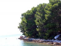 Felsstrände - Insel Molat