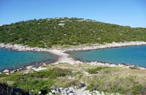 Vegetation, Insel Murter