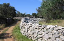 Insel Olib Wanderweg