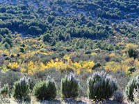 Fahrradfahren, Insel Zlarin