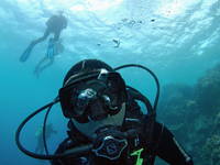 Tauchen, Insel Zlarin