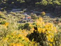 Wandern, Insel Zlarin