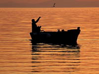 Jezera - Angeln, Fischen