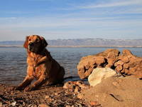 Lozice - Hundestrand Duboka Draga