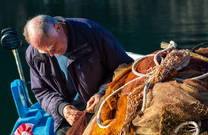 Fischer in Novigrad (Dalmatien)