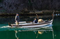 Novigrad (Dalmatien) - Fischer