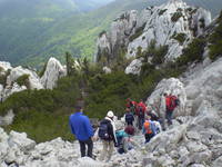 Velebit Gebirge