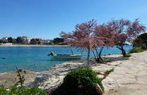 Rogoznica - Strand - Boot