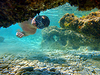 Schnorcheln, Veli Rat