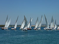 Latinsko idro - Segelregatta