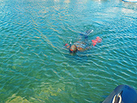 Tauchen - Schnorcheln, Tribunj