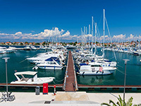Olive Island Marina, Sutomiscica