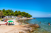 Strand Camping, Susica