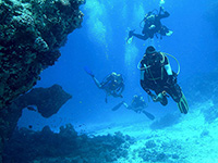 Tauchen & Schnorcheln, Ugljan