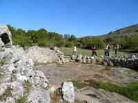 Arauzona - Vodice, Srima