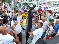 Big Game Fishing, Vodice