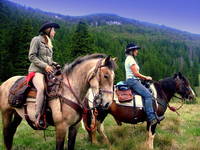 Zadar - Reiten Linden Tree Retreat Ranch Zadar - Reiten Linden Tree Retreat Ranch