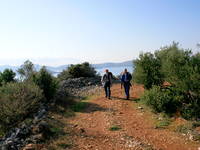 Zadar - Wandern Insel Ugljan Zadar - Wandern Insel Ugljan