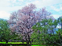 Blato - Wandern, Natur