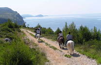 Reiten Sie durch die schöne Umgebung Cavtat´s entlang der Küste von Konavle